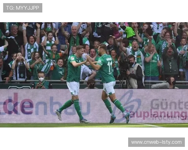 德甲球场可持续改造计划启动，太阳能顶棚覆盖率达60%